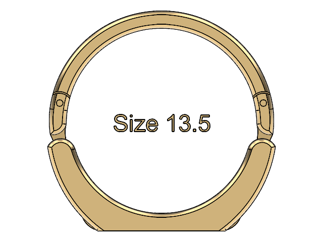 Size 13.5 Collection